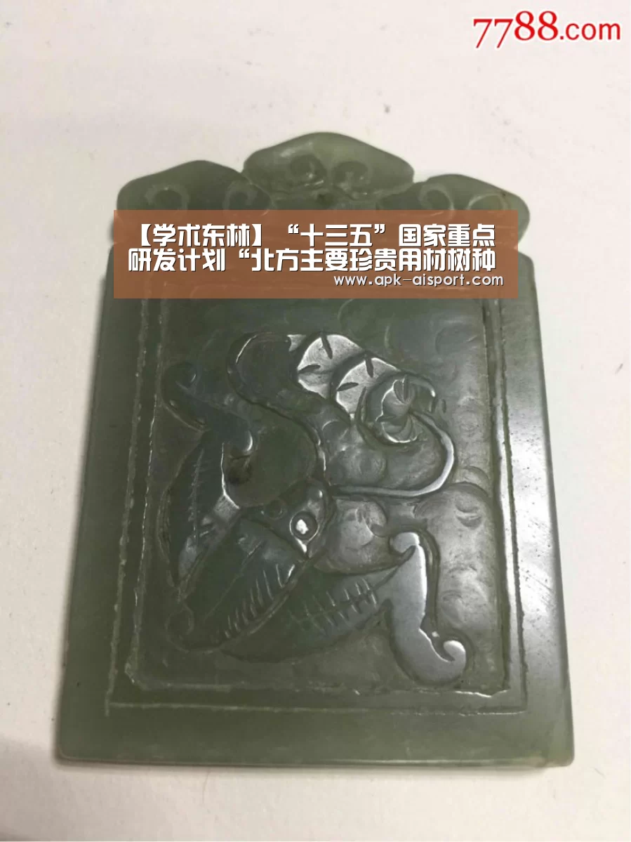 爱体育登录